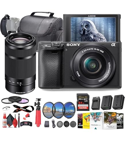 Amazon.com : Sony Alpha a6000 Camera with 55-210mm and 16-50mm
