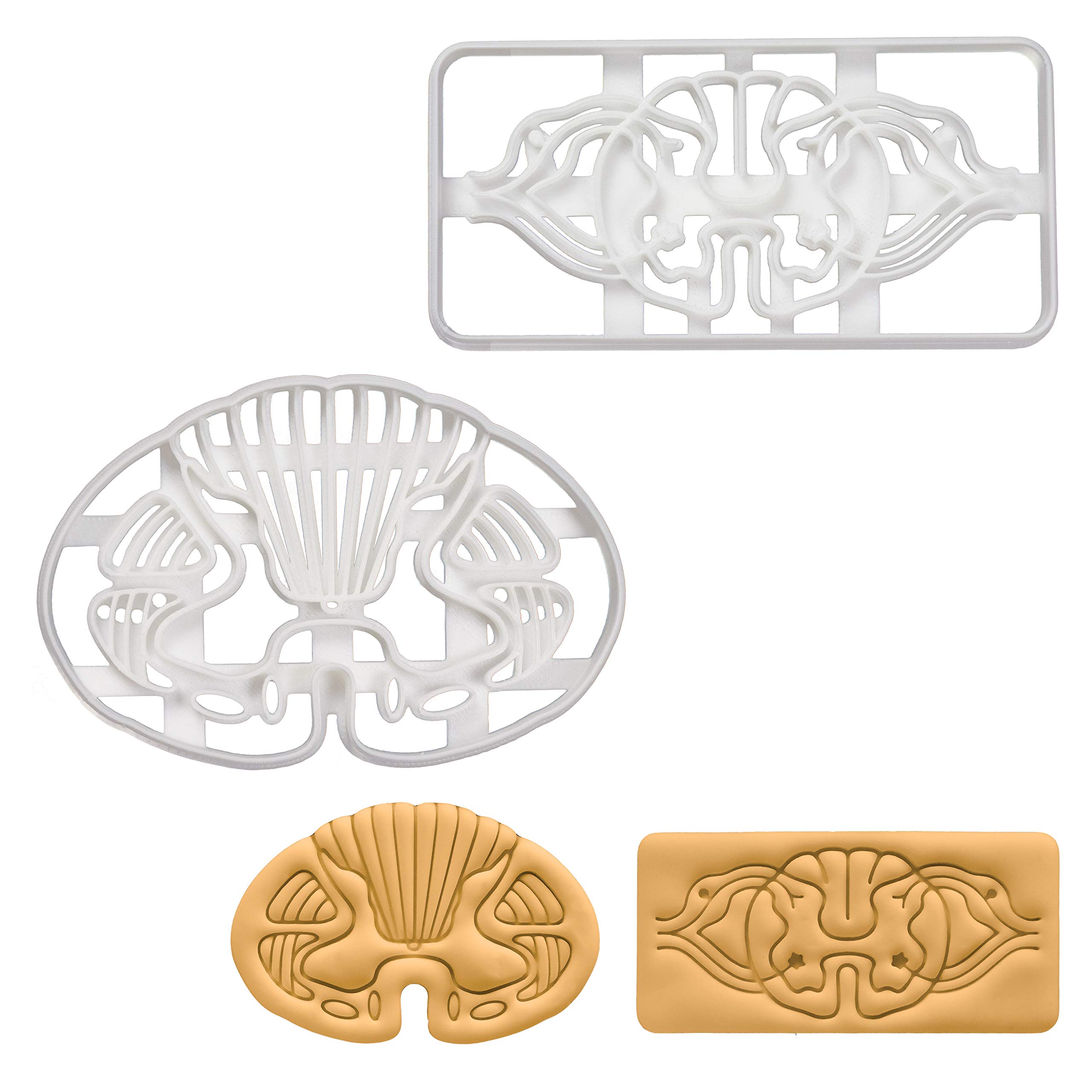 BAKERLOGY Set of 2 Cookie Cutters (Designs: Spinal Neuro Path & Spinal Transverse) - Detailed Biscuit Cutter Design for Baking and Crafts, Ideal on Fondant, Dough, Clay
