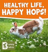 Bunny Bistro Flaked Peas 1kg Natural Dried Pea Flakes Small Animal view 6