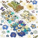 Dried Flowers, Resiners 100Pcs Pressed Flowers for