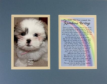 shih tzu memorial