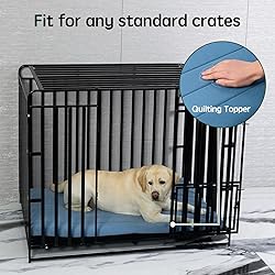 BALANCE Dog Crate Bed, Orthopedic Dog Bed Pad with