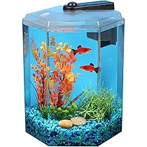 imagitarium h filter