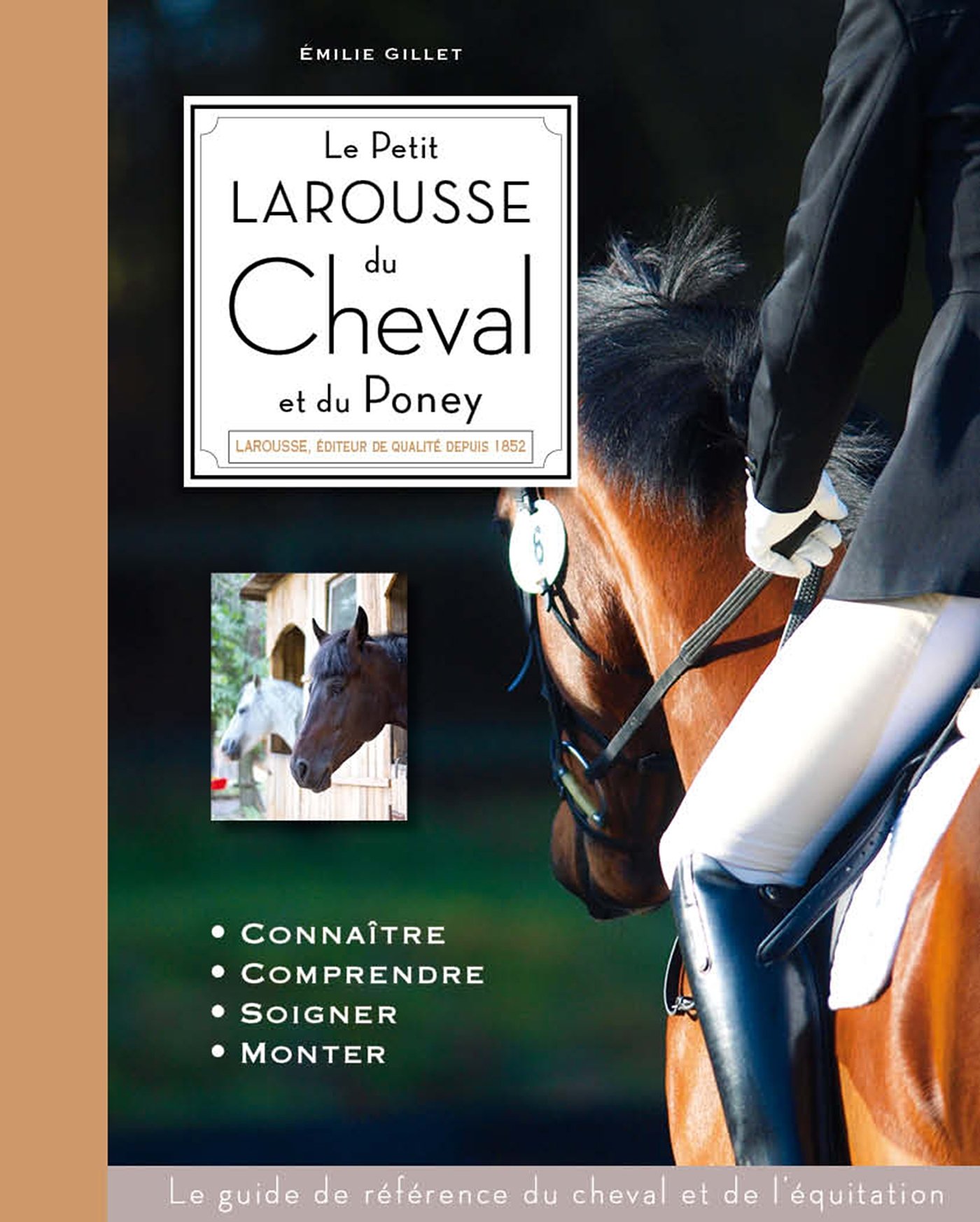Larousse Junior Du Cheval Et Du Poney