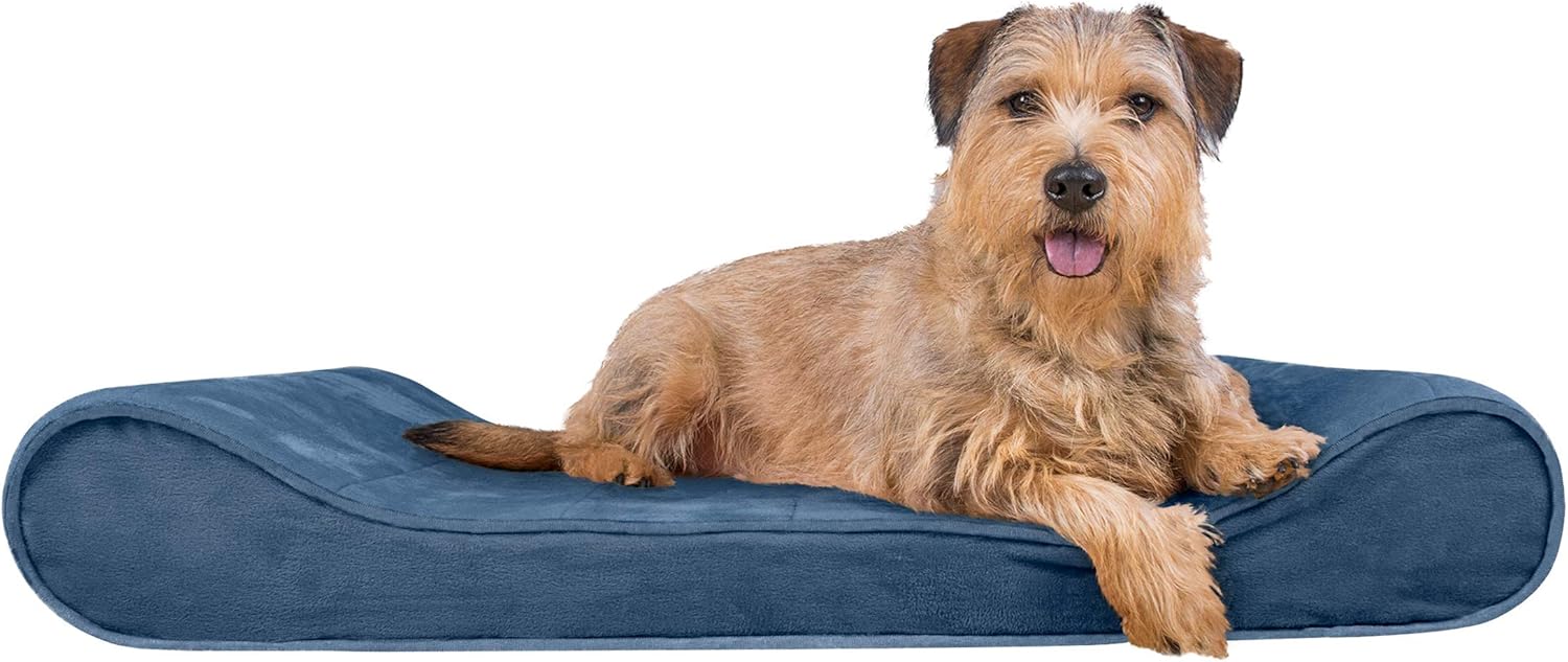 Furhaven Pet Dog Bed | Ergonomic Contour Lounger & Therapeutic Sofa-Style Living Room Couch & Pet Bed w/ Removable Cover for Dogs & Cats - Available in Multiple Colors & Styles