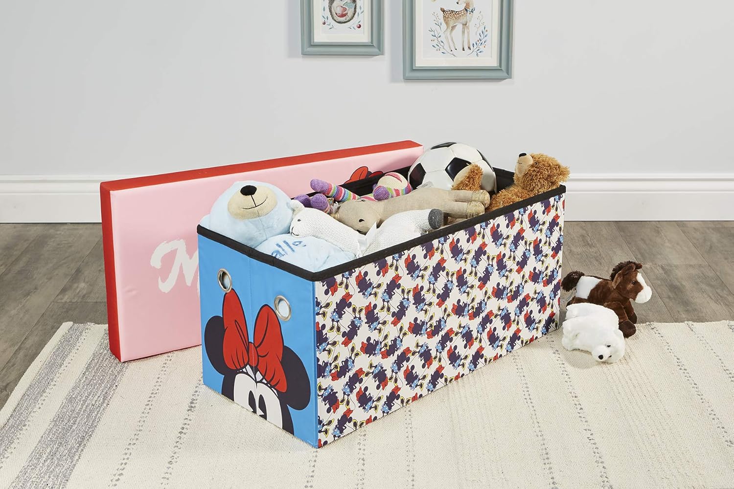 minnie toy storage