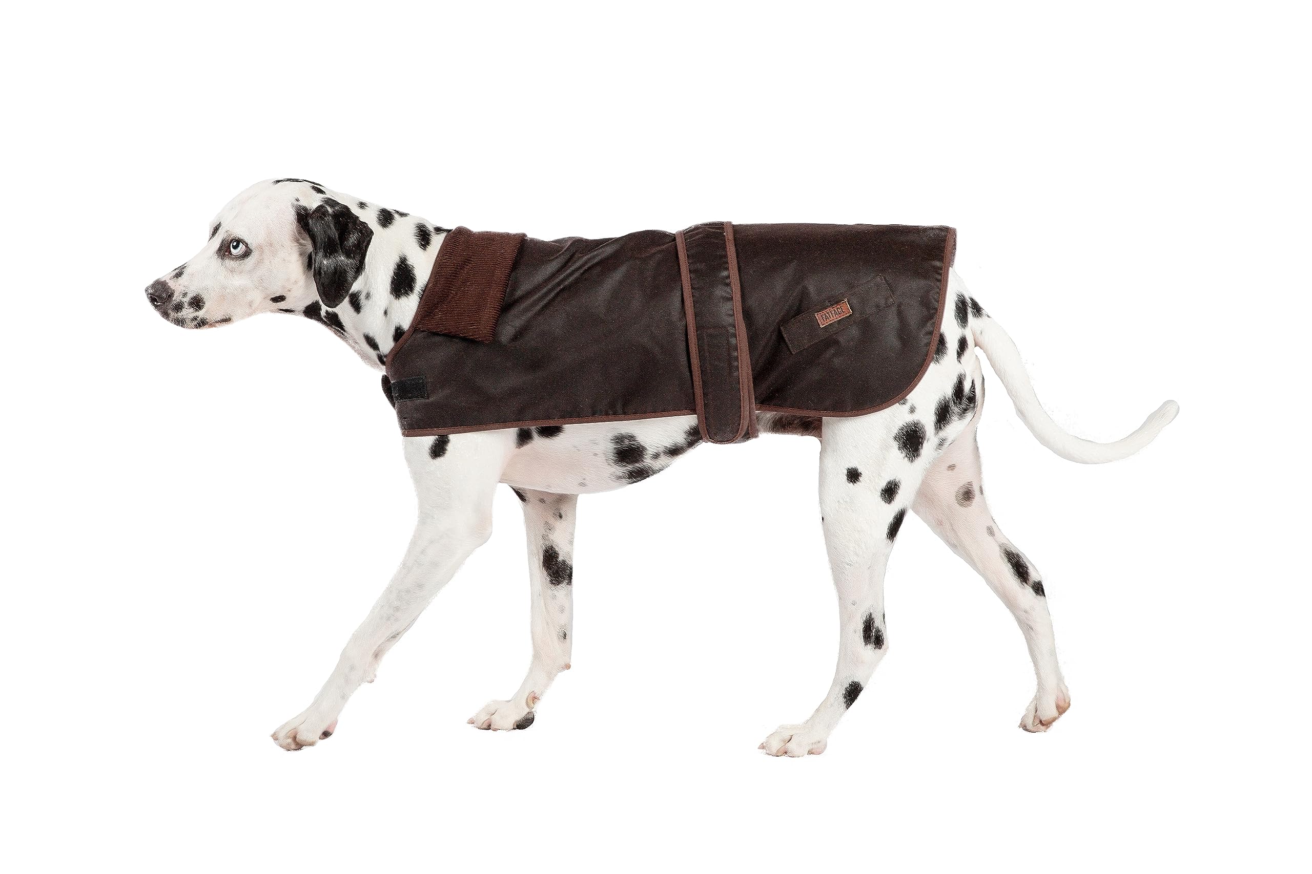 Danish Design FatFace Sussex Brown Waxed Cotton Orange Check Lining Naturally Water Resistant Dog/Puppy Coat 55 cm