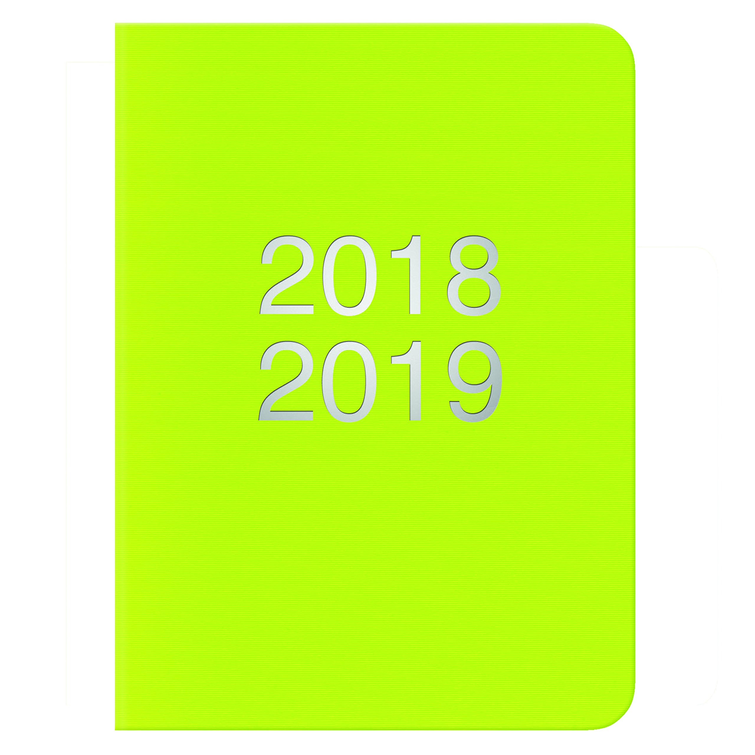 Letts Dazzle A6 day to a page 18/19 academic diary pear