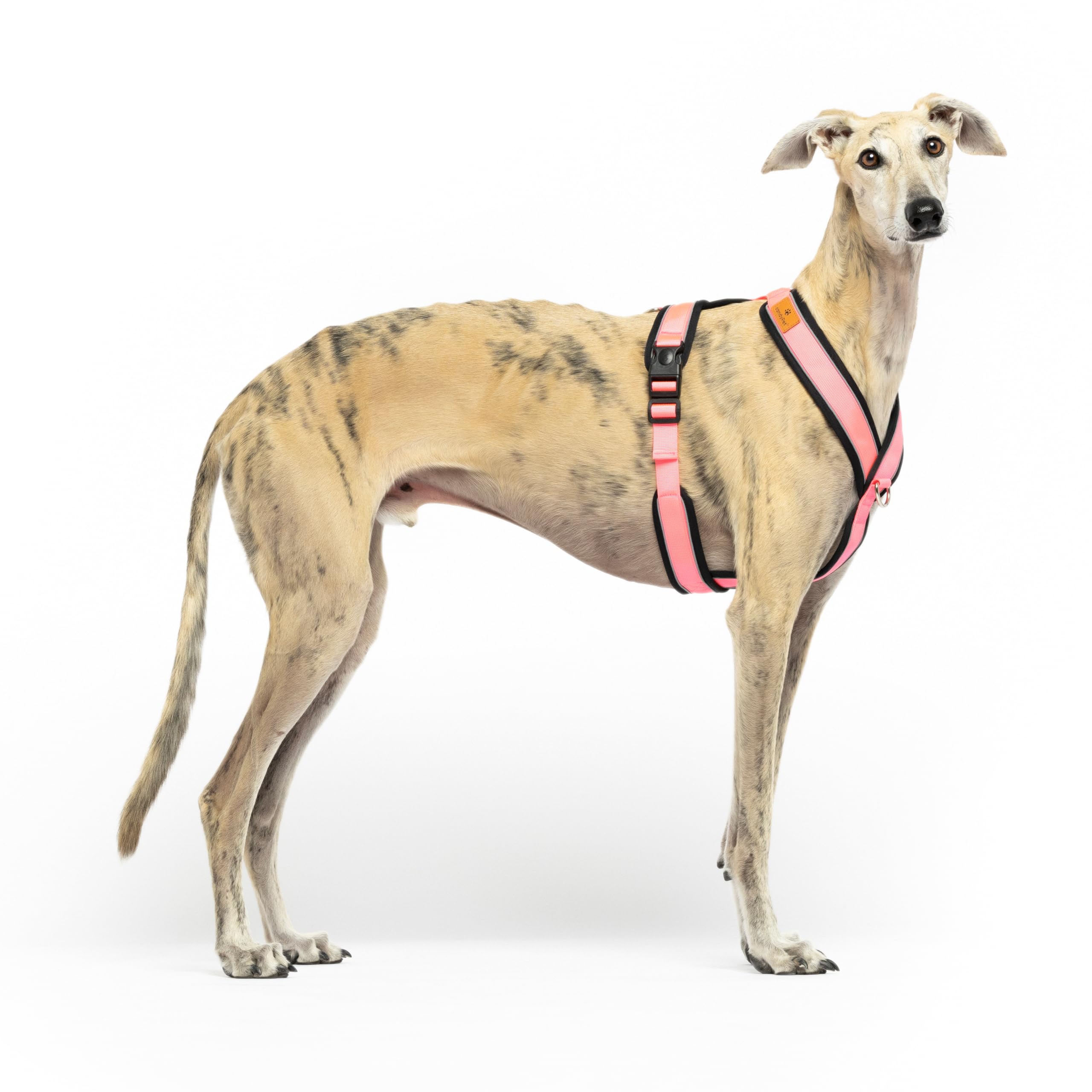 Reflective Anti-Pull "Y" Shaped Harness - Ideal for Lebreles: Italian Greyhound, Whippet, Greyhound, Podenco - Safe, Breathable and Durable - Perfect for Walking, Training and Running - Pink, XL
