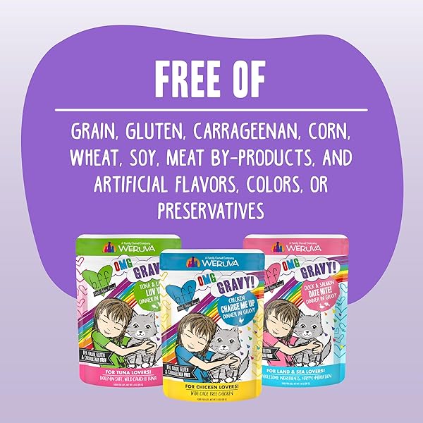 WERUVA B.F.F. OMG – BEST FELINE FRIEND OH MY GRAVY!, RAINBOW A GOGO VARIETY PACK! CAT FOOD, 3OZ POUCH (PACK OF 12)