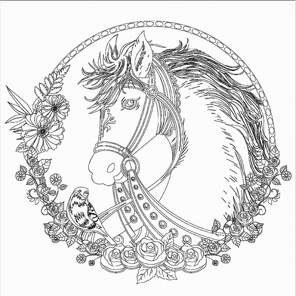 Honsell 12132 Stretcher Frame with Horse Motif, Format 30 x 30 cm, Pre-Printed Motif for Colouring with Acrylic, Watercolour and Oil Paints and Felt and Colouring Pencils, White — image 1