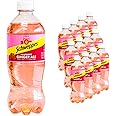 Raspberry Ginger Ale - Refreshing, Crisp, Delicious - 12, 20oz Bottles