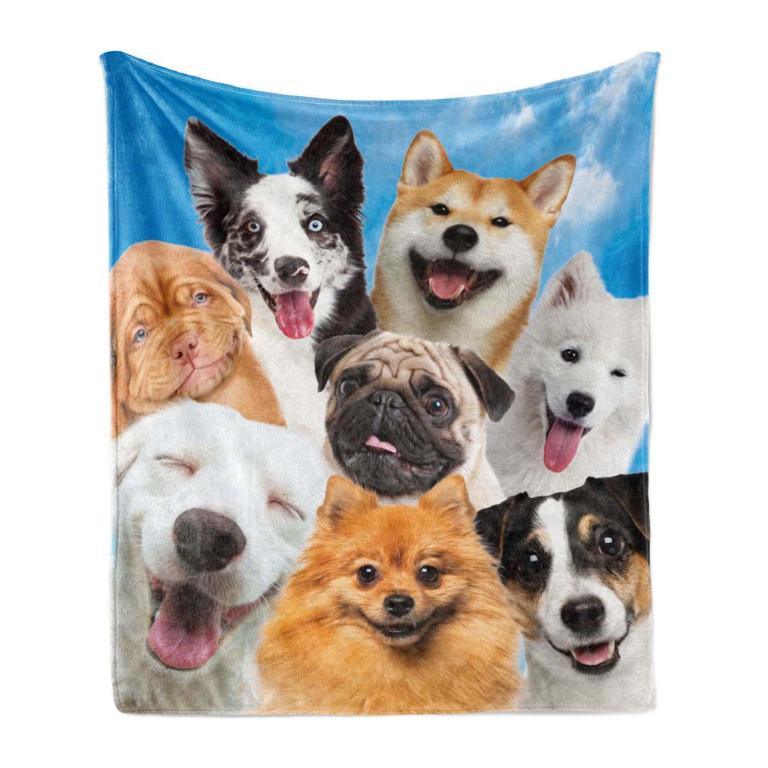 Ambesonne Dogs Throw Blanket, Funny Whimsical and