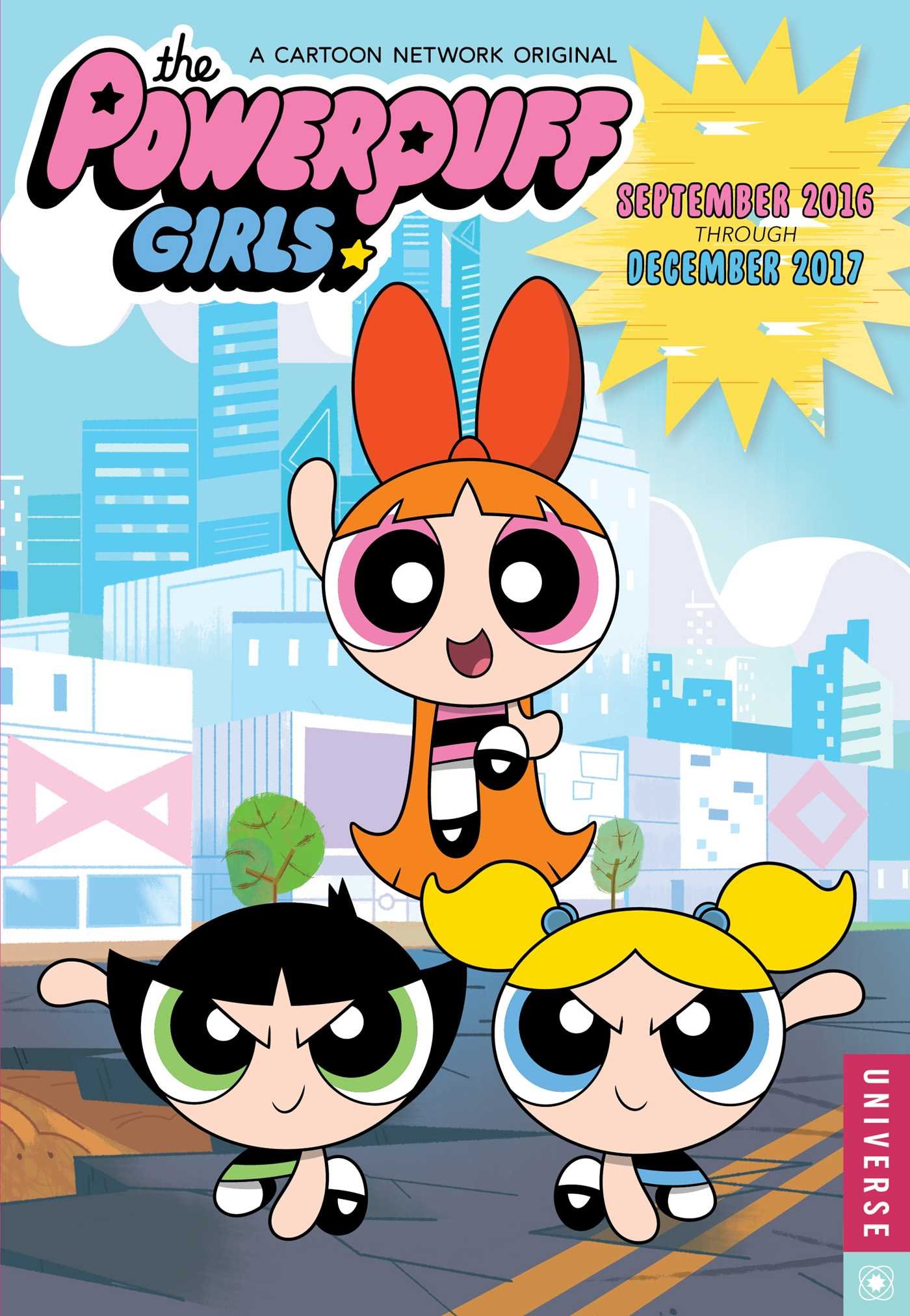 The Powerpuff Girls Weekly Planner 2017 Calendar Cartoon Network 9780789332165 Amazon Com Books