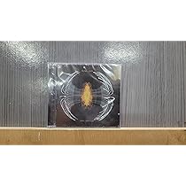 Pearl Jam | Amazon.com.br