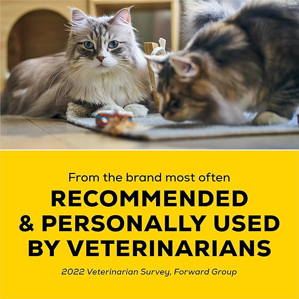 PURINA TIDY CATS LIGHTWEIGHT FREE AND CLEAN UNSCENTED, MULTI-CAT, CLUMPING, 99.9 PERCENT DUST FREE CAT LITTER – 17 LB. BOX
