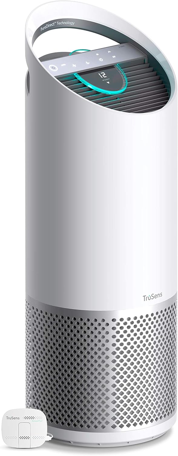 Best Air Purifiers For Mold 2021 Review