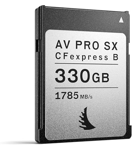 Angelbird CFexpress 4.0 Type B メモリーカード② Amazon.com: Angelbird AV PRO CFexpress B 2.0 4 TB