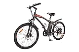 DJ Mountain Bike 750W 48V 13Ah Power Electric