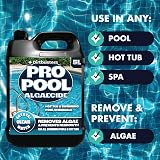 Dirtbusters Pro Pool Algaecide 5L Concentrate for Pools & Hot Tubs view 3