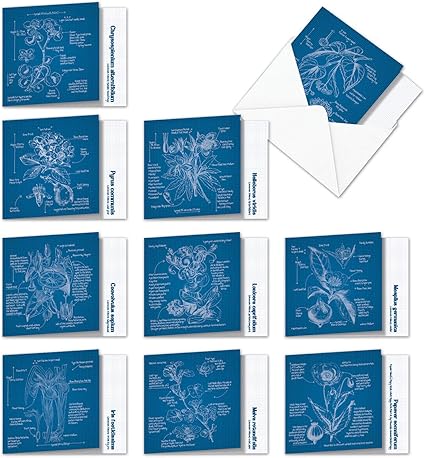 Download Blank Blueprints For Kids Background