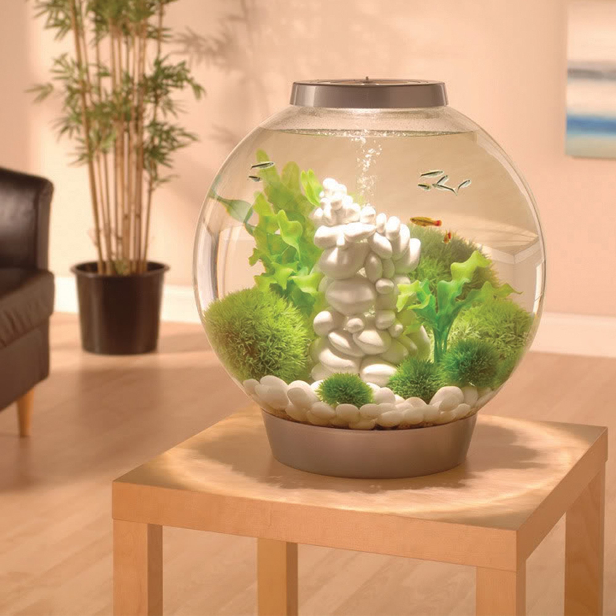 biOrb CLASSIC 15 Aquarium with LED 4 gallon, Silver Buy Online in