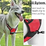 Belababy Dog Harness Small Medium Large No Pull Reflective Front Clip Red M view 4
