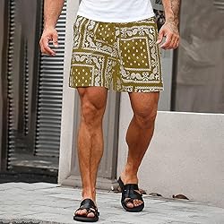 DIOTSR Mens Paisley Casual Shorts Retro Graphic