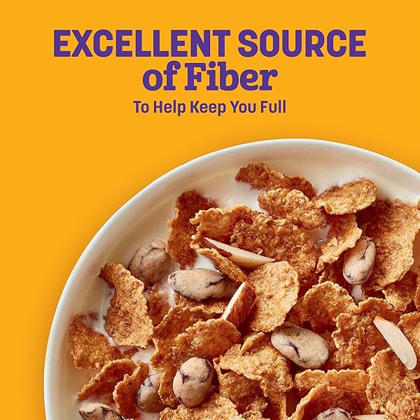 RAISIN NUT BRAN CEREAL, HIGH FIBER CEREAL, MADE WITH WHOLE GRAIN, 20.8 OZ