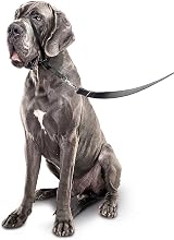 Beaphar Gentle Leader Head Collar for Large Dogs - Anti-Pull Training view 4