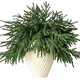GIAUMA 12 Pcs Artificial Norfolk Pine Branches - 18" Realistic Faux Christmas Greenery Stems Fake Evergreen Cedar Picks Winter Greens for Vase DIY Crafts Garland Wreath Indoor Outdoor Holiday Decor
