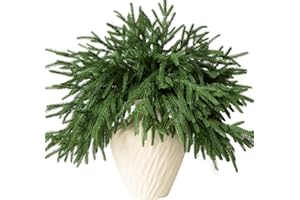 GIAUMA 12 Pcs Artificial Norfolk Pine Branches - 18" Realistic Faux Christmas Greenery Stems Fake Evergreen Cedar Picks Winter Greens for Vase DIY Crafts Garland Wreath Indoor Outdoor Holiday Decor