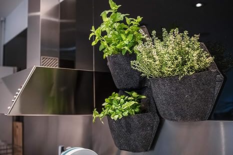Espora Jardín Vertical Módulo Hexagonal con Sistema de autoriego ...
