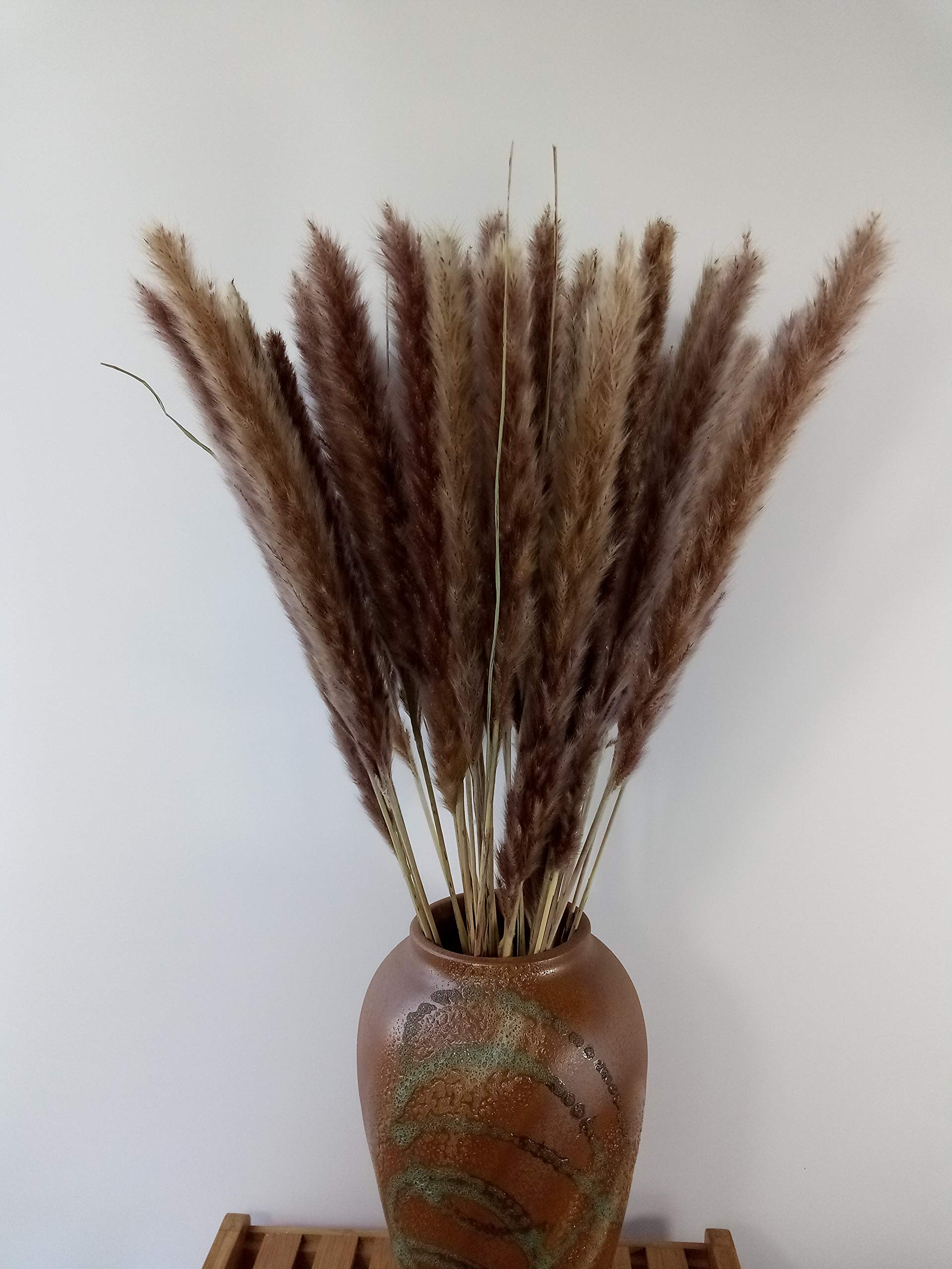 Dongliflower 30 Pcs Dried Natural Small Pampas Grass, Cortaderia