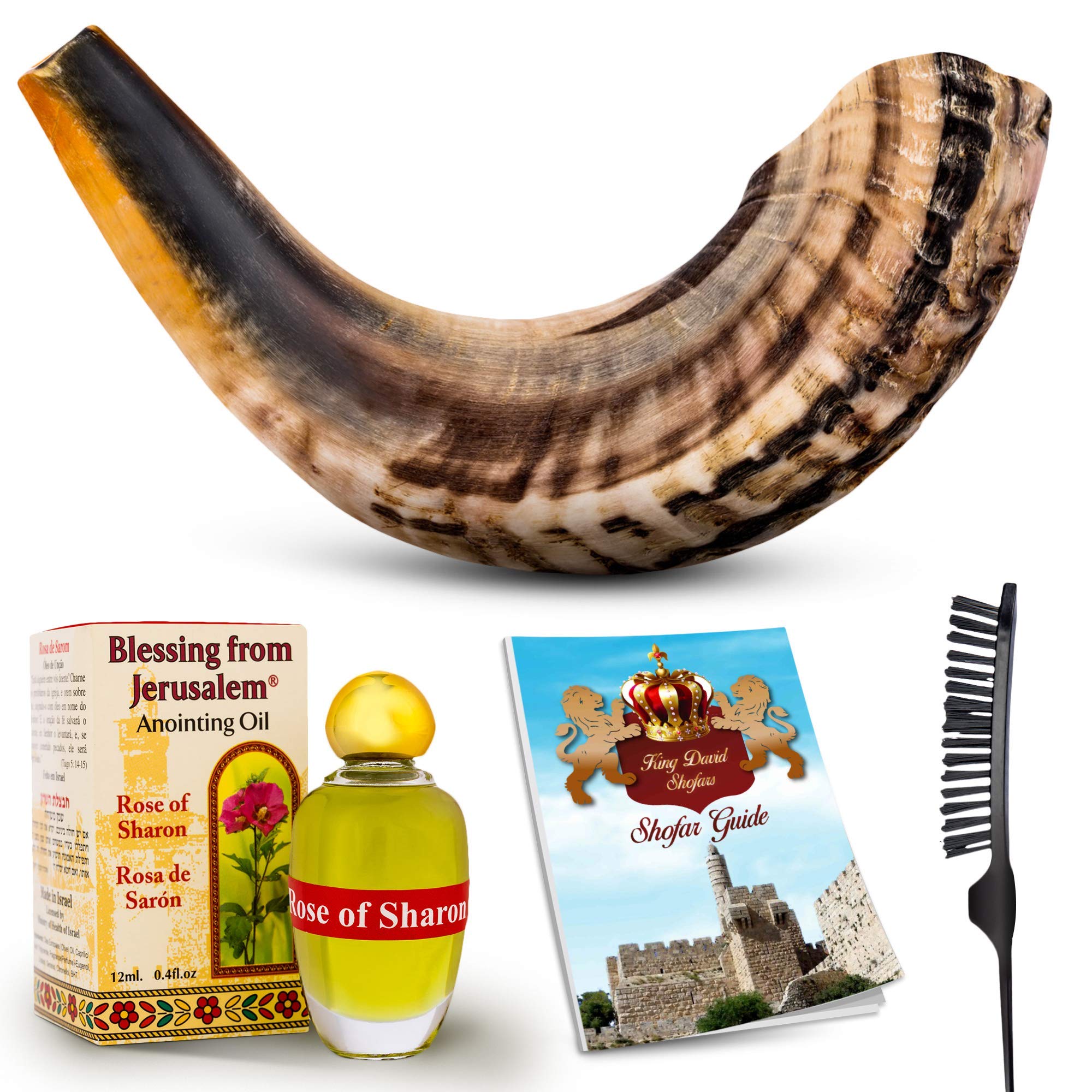 Shofar Kudu Yemenita - Corno Kosher Lucidato 89-94cm Da Israele