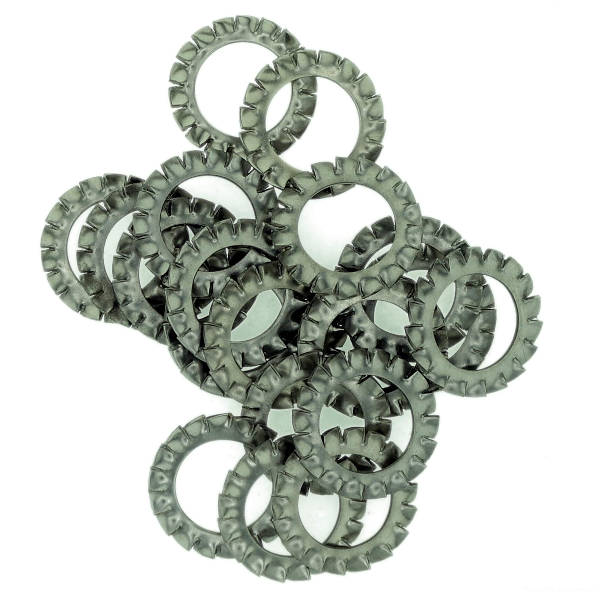 M10 (10mm) Shakeproof Washer (External Serrated) - Stainless Steel (A2) (Pack of 20) โ image 1