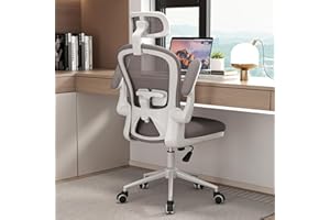 Apusen Ergonomic Office Chairs with Adjustable Lumbar Support,Mesh Desk Chair with Adjustable Arms and Wheels,Computer Desk Chair for Home Office Essentials（Headrests,White）