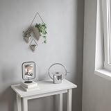 Umbra Trigg Small Set of 2 Concrete Wall Planters - Modern Decor view 10