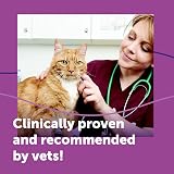 Feliway Classic Cat Calming Odourless Spray 60ml - Veterinary Suggested view 8