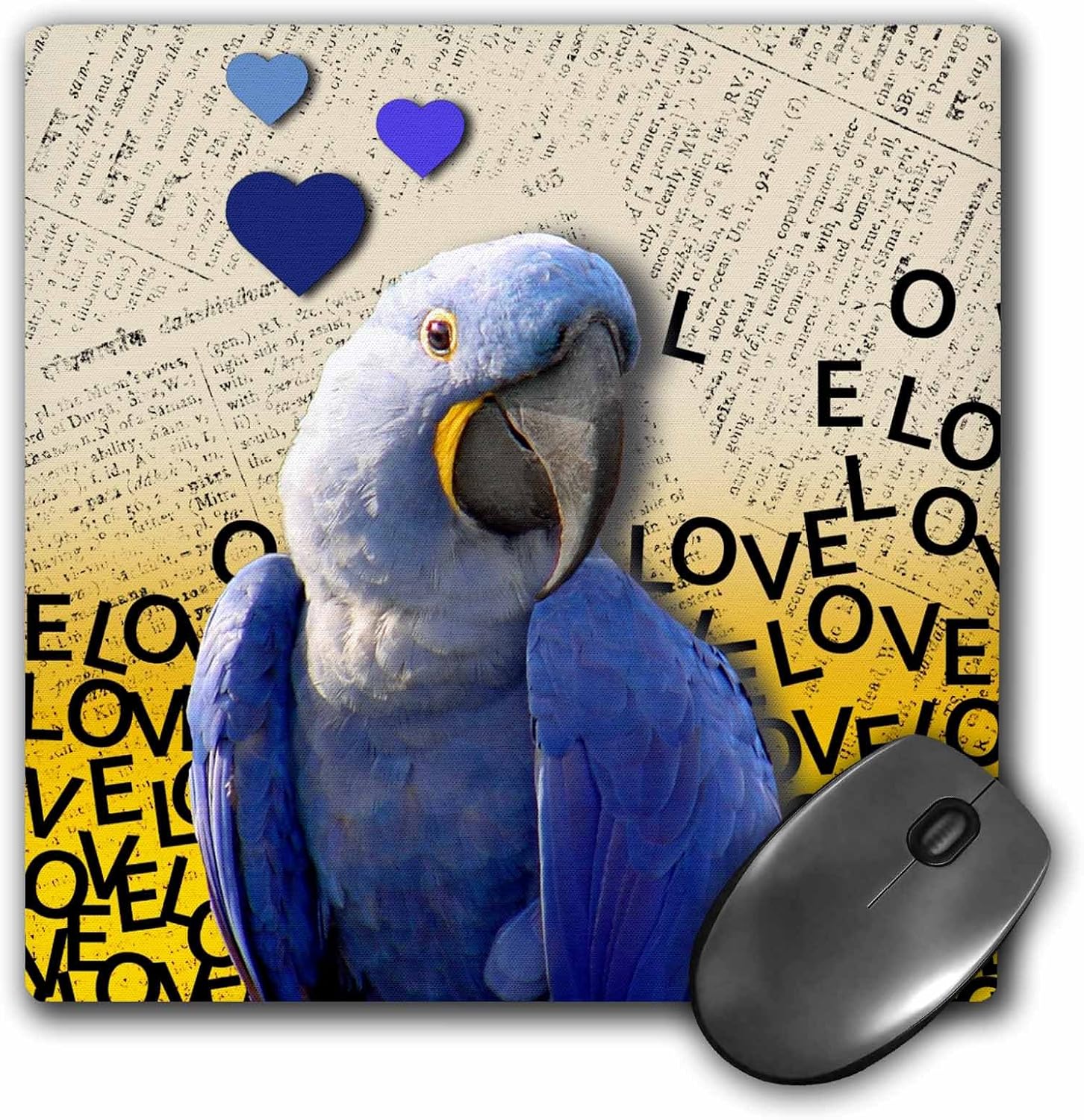 3dRose mp_123122_1 8 x 8-Inch Blue Maccaw Parrot - Cute Happy Smiling Bird Photo - Navy Blue and Yellow - Animal Photography Mouse Pad