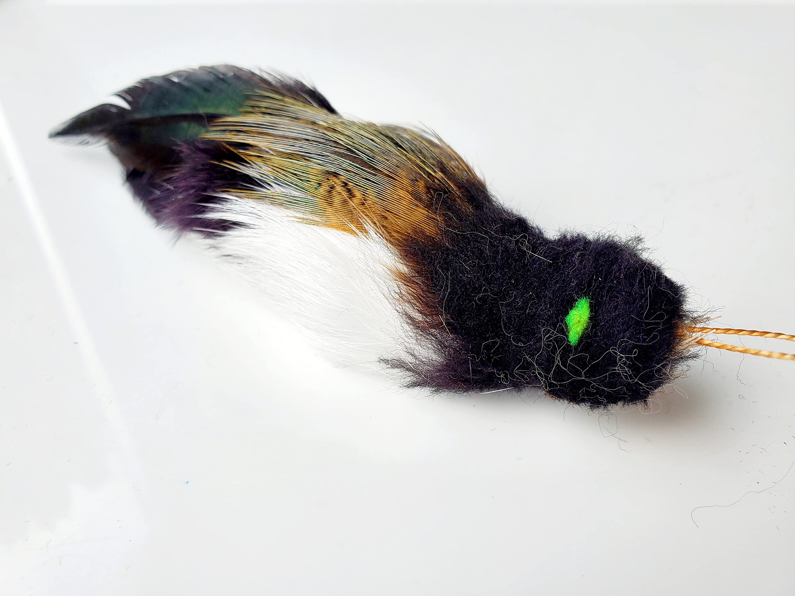 TIGA Toys Bettie Blacky bird cat toy feather teaser