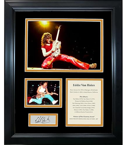 Amazon.com: Framed Music Concert Tour Facsimile Laser Engraved