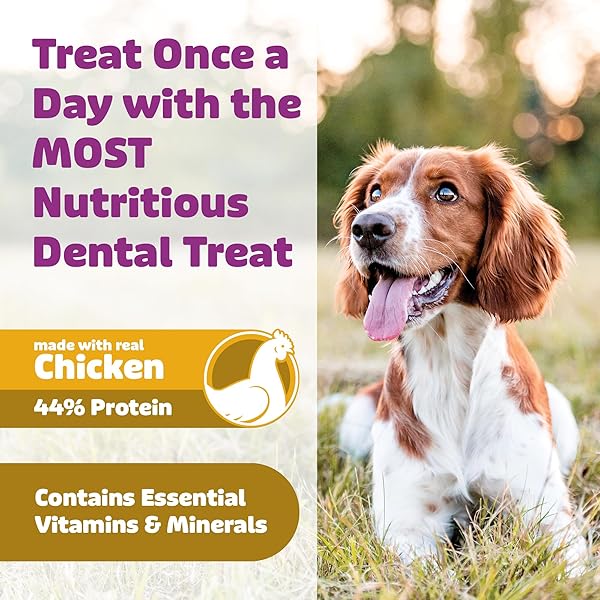 YUMMY COMBS DOG DENTAL TREATS – VET VOHC APPROVED – DELICIOUS CHICKEN PROTEIN – REMOVES TARTAR WITH CLEANING COMB SHAPE – DENTAL DOG TREATS FOR EXTRA SMALL DOGS (12OZ, 48 COUNT)
