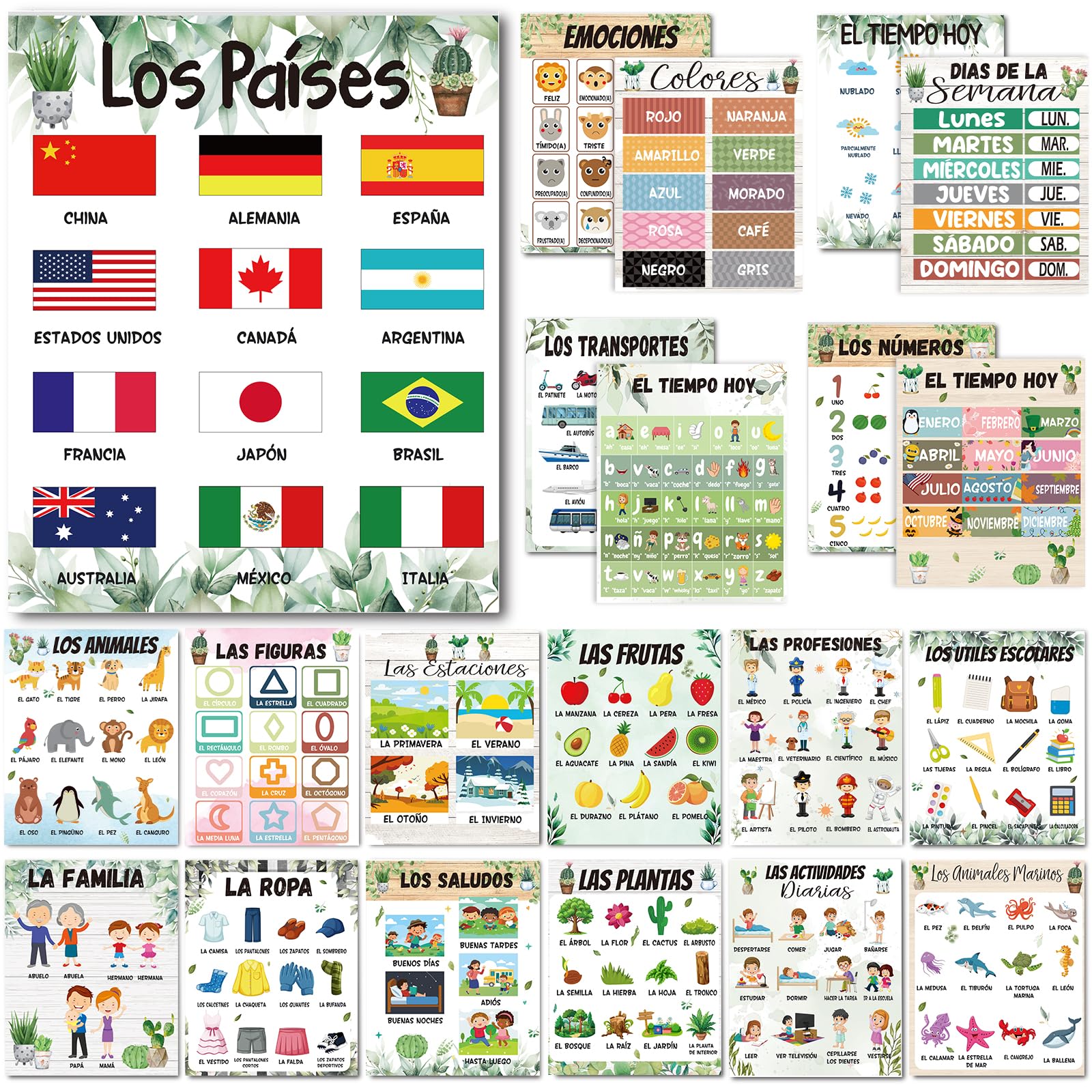 Photo 1 of AmazingSpark 24 Pcs Spanish Posters for Classroom 8 x 10 Inch Laminated Spanish Decoration Bulletin Board Decor Elementary Educational Poster for Toddler Teacher Student School Wall Decor(Plant)