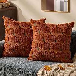 DFXSZ Fall Pillow Covers 18x18 Set of 2 Fall