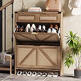 Halitaa Shoe Cabinet with 2 Flip Drawers & 2