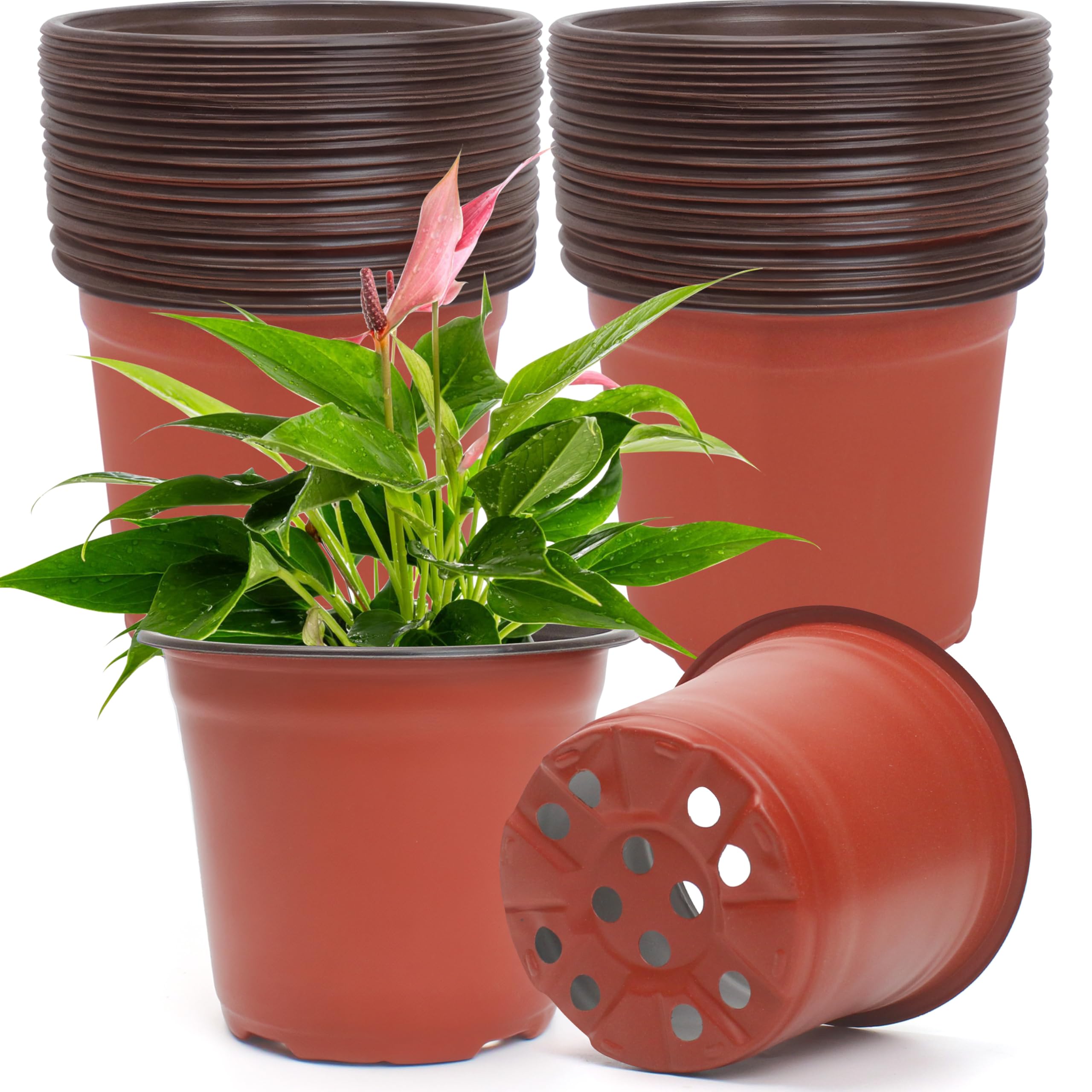 Photo 1 of 50 Pcs Plastic Pots for Plants 6 Inch, Potting Containers for Nursery Planting, Round Planter Container for Flower Grow Seedlings Seed Starting Succulents Transplanting Cuttings Home Decor Supplies
