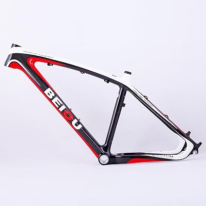 monocoque bike frame