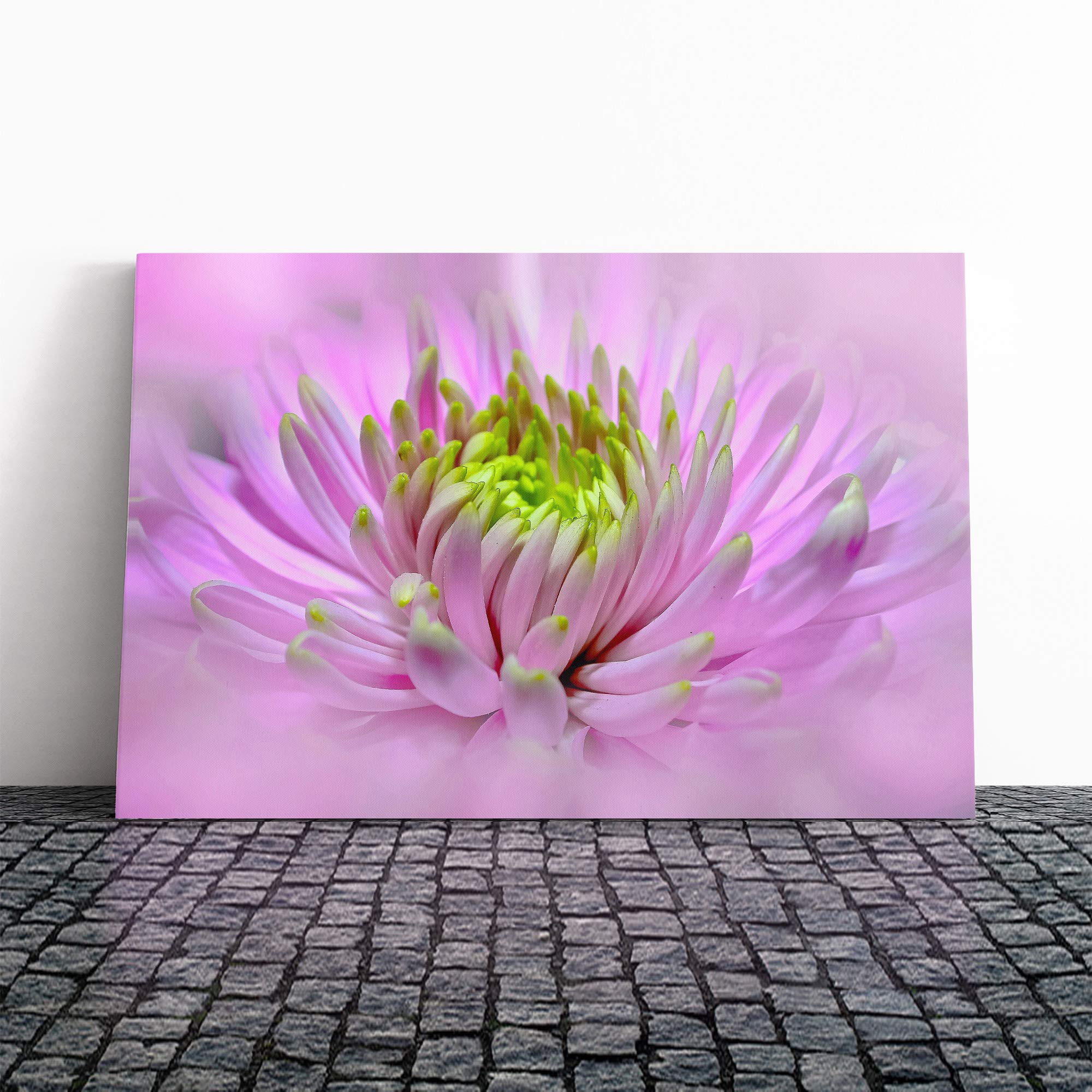 Big Box Art Canvas Print Wall Art Flower Pink Dahlia (2) | Mounted and Stretched Box Frame Picture | Home Decor for Kitchen, Living, Dining Room, Bedroom, Hallway, Multi-Colour, 20x14 Inch