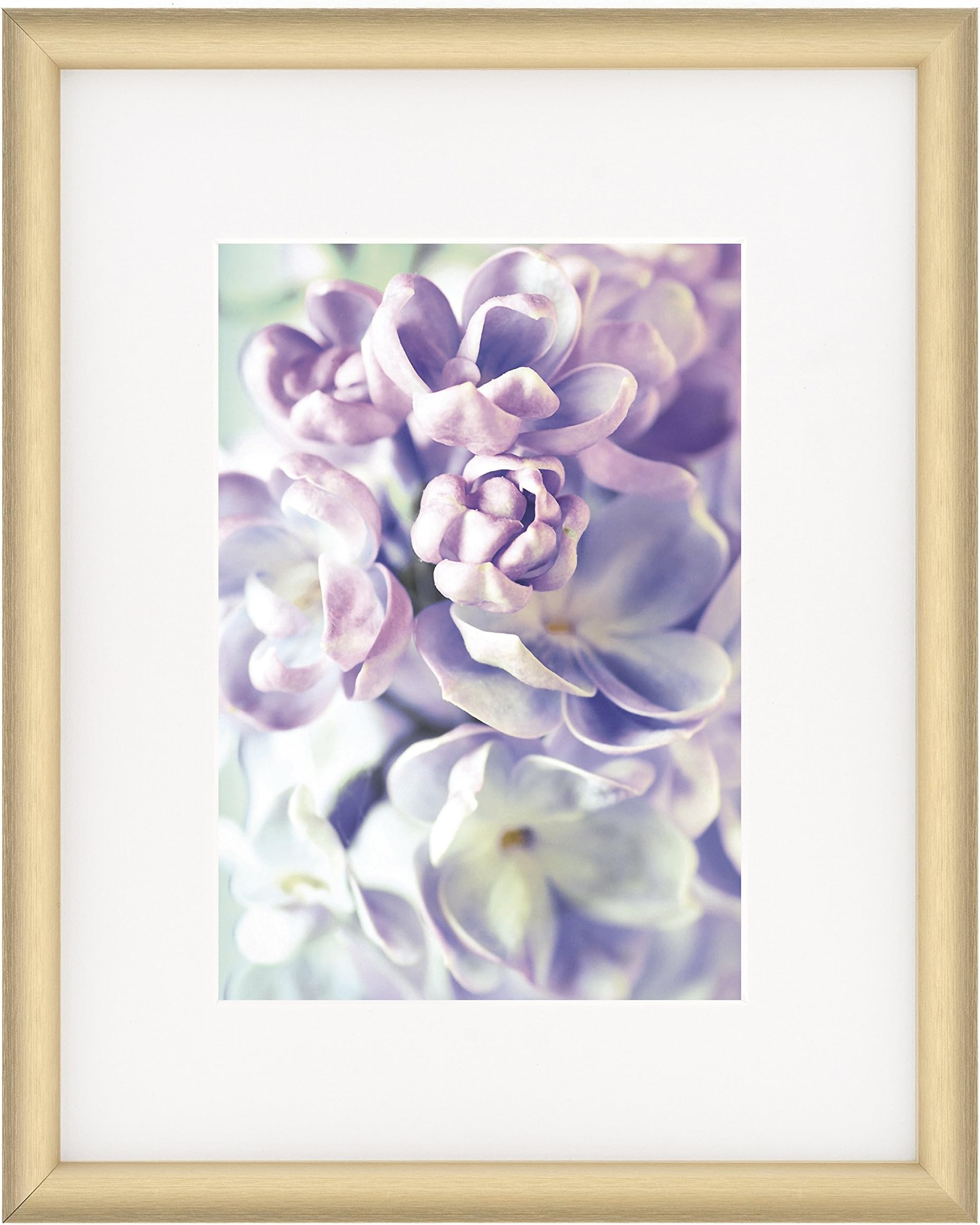 Nielsen BainbridgeARTCARE by Nielsen 5"X7" 8"X10" SATIN GOLD COSMOPOLITAN MATTED FRAME 5 inches x 7 inches 4 Piece